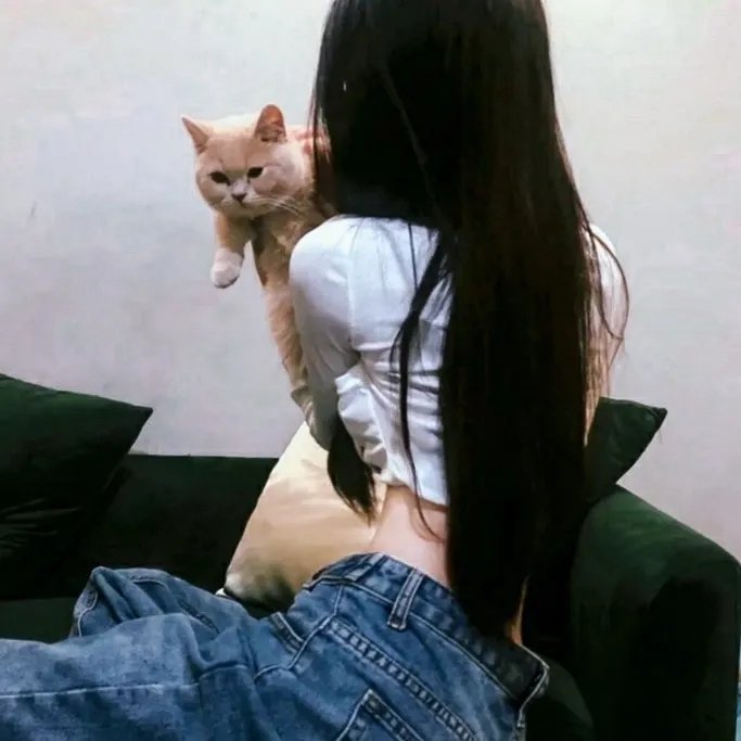 弱美男英雄第2季