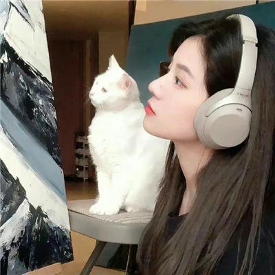 萌犬好声音4