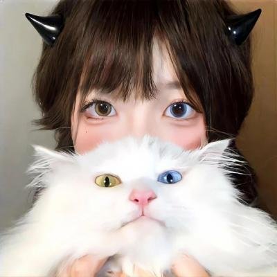 当家小娘子